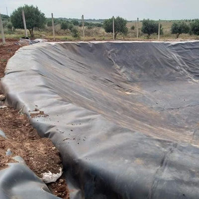 Двойная гладкая/конструкция поверхности HDPE Geoliner для Индонезии Рыбная ферма пруд 1м-8м ширина