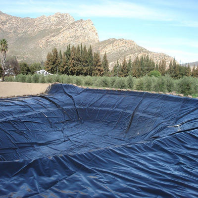 Промышленный дизайн 0,5 мм HDPE гладкий Geoliner Рыбный пруд для аквакультуры