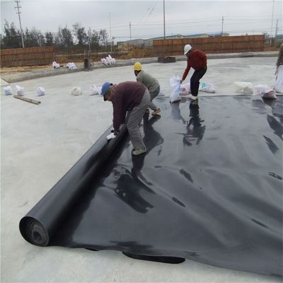 0.5mm 1mm 1.5mm 2mm HDPE геомембрана для рыбных водоемов в стиле промышленного дизайна