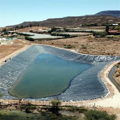 0.5mm 1mm 1.5mm 2mm HDPE геомембрана для рыбных водоемов в стиле промышленного дизайна