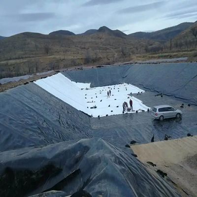 Геомембрана HDPE шириной 1-8 м для выращивания креветок для максимальной защиты и эффективности