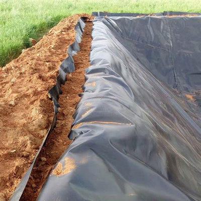 50-100 м Длина HDPE Geomembrane Liner для плотности полиэтиленовых водоемов Geomembranas
