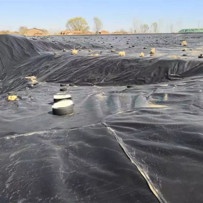 Двойная гладкая поверхность 0,5 мм LDPE LLDPE HDPE геомембрана для рыбной промышленности плотины линейки