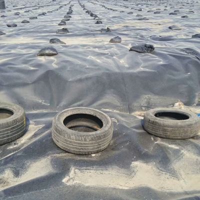 Двойная гладкая поверхность 0,5 мм LDPE LLDPE HDPE геомембрана для рыбной промышленности плотины линейки