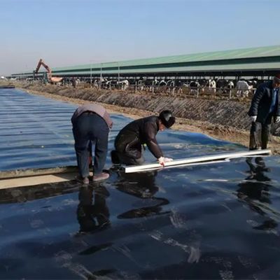 1 мм 2 мм толщина HDPE геомембрана рыбный пруд подкладка для искусственной водоотталкивания озера