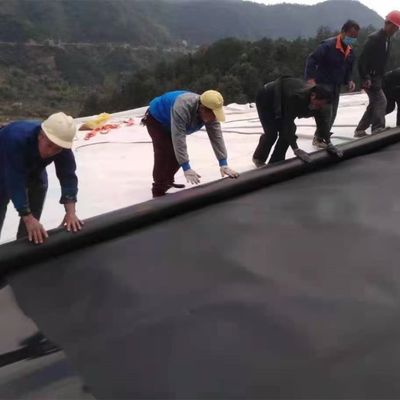 Геомембрана из HDPE с двойной гладкой/двойной текстурой поверхности для пластмассового водонепроницаемого водонапорного линера