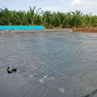 Udg Layfield Geomembrane для проекта водоема в Южной Африке в двойной гладкой поверхности