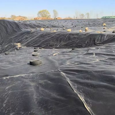 Гладкая поверхность 0,5 мм HDPE Geomembrane Liner Sheet для рыбоводческого пруда