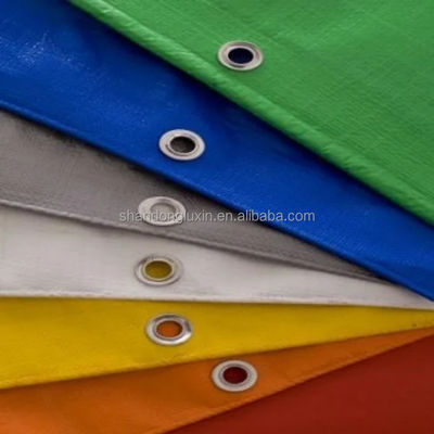 Покрытый тип PE Покрытый водонепроницаемый Pe Tarpaulin Roll HDPE ткачество с ламинированием LDPE