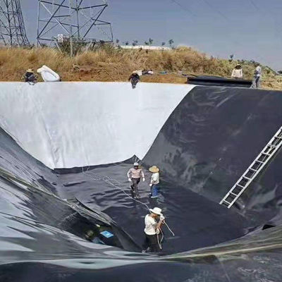 Двойная гладкая поверхность HDPE для водоемов для геомембраны аквариума рыб и водоемов