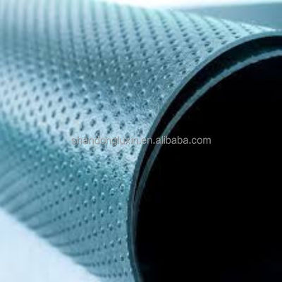 Внешняя геомембрана из HDPE Непроницаемая мембрана для геосинтетических материалов LDPE EVA