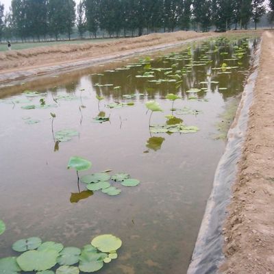 Двойная гладкая геомембрана HDPE водонепроницаемая для гладких рыбных прудов и свалок