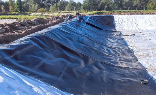 Современный дизайн Чёрный HDPE гладкая геомембрана 0,5 мм 1 мм для свалок и рыбных прудов