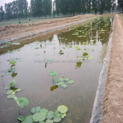 0.75 мм HDPE прудовые облицовки и 1,0 мм рыбный резервуар геомембраны для эффективности креветок
