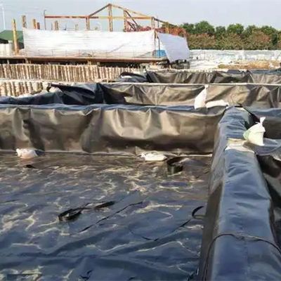 Рыбоводственные пруды бассейны лагуны аквакультура полиэтиленовая геомембрана высокой плотности 2 мм