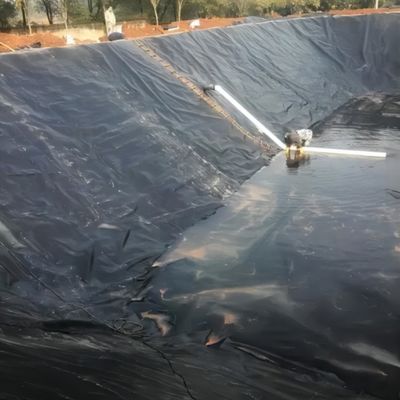 Высокая плотность рыбы и креветок пруда линнер HDPE геомембрана с водонепроницаемой функцией