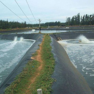 Геомембрана двойной гладкой поверхности HDPE 1 мм для водоемов и полигонов 50-100 м длина