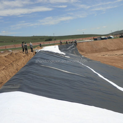 Гладкая поверхность 2 мм PE Geomembrane Liner для шахт и других промышленных применений