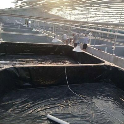 Стандарт ISO9001 Геомембрана из HDPE предотвращает воду и утечки с помощью прямой продажи