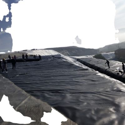 Возможности графического дизайна Промышленный стиль HDPE Geomembrane Liner 1,0 мм для пруда