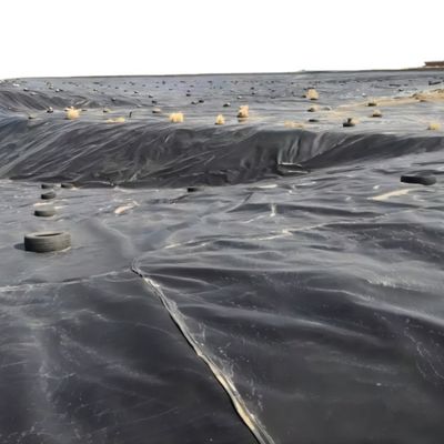 10,0 мм HDPE Geomembrane Liner для геомембран на полигоне плотины искусственного озера
