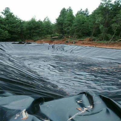 0.1mm-2.5mm Толщина рыбохозяйственный пруд линнер Hdpe геомембраны для промышленных применений