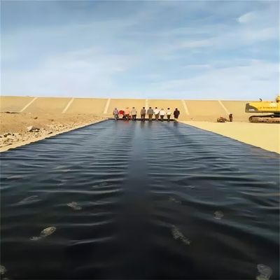 Прочные полиэтиленовые водонепроницаемые геомембраны для выращивания креветок