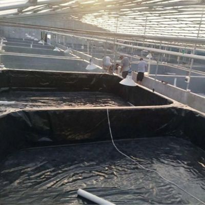 Двойная текстура HDPE геомембрана рыбоводческого пруда с возможностью решения проекта