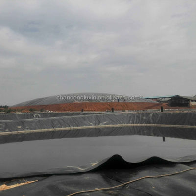 Гладкая/Текстурированная 1 мм 1,5 мм HDPE геомембрана для стиля промышленного дизайна на конкурентной основе