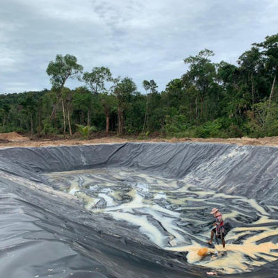 Сингапурское рыбное креветоводство водонепроницаемая геомбранная HDPE 0,3 мм с проверкой на месте