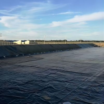 Возможности решения проекта Современный 1,0 мм HDPE рыбный водоем для гидроизоляции крыши