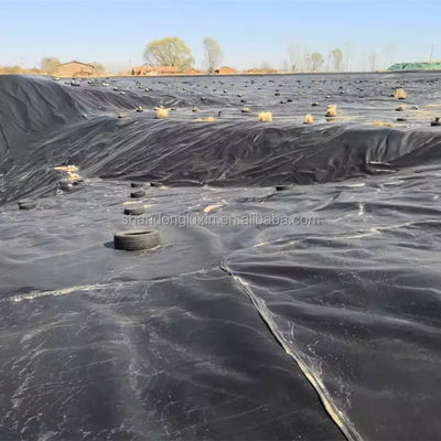 Блестящий белый 1,5 мм HDPE геомембранный ролик для бассейна рыбной фермы