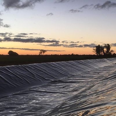 1.5mm HDPE Geomembrane Fish Pond Liner для свалок непосредственно от производителей