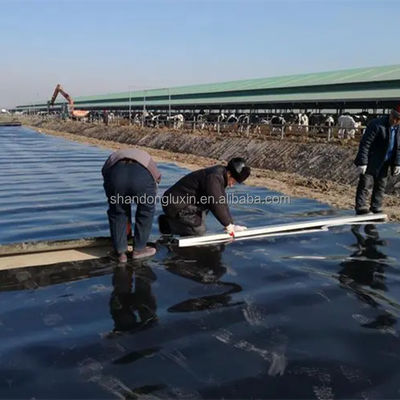 Полипропиленовый лайнер HDPE геомембрана для рыб креветок фермы пруда водонепроницаемый пластик