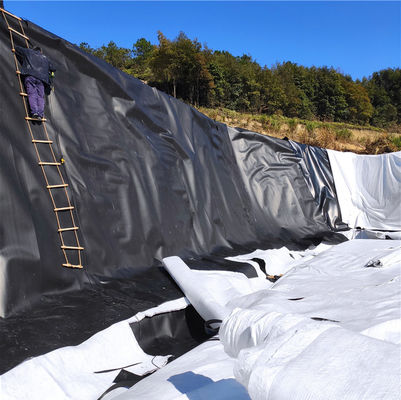 0.5 мм HDPE черный плотиной линейки двойной гладкой поверхности для резервуаров для хранения воды 1 мм толщина