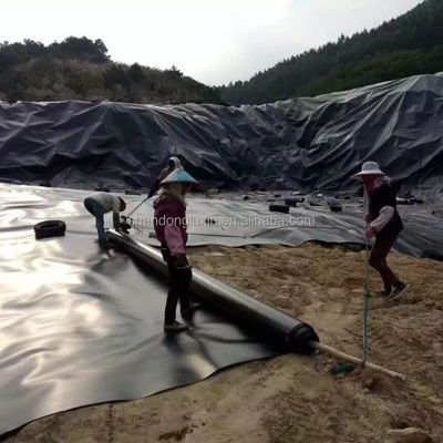 Специализированная геомембрана из HDPE для Кении Рыбная ферма Креветки прудный подкладка в водонепроницаемом материале