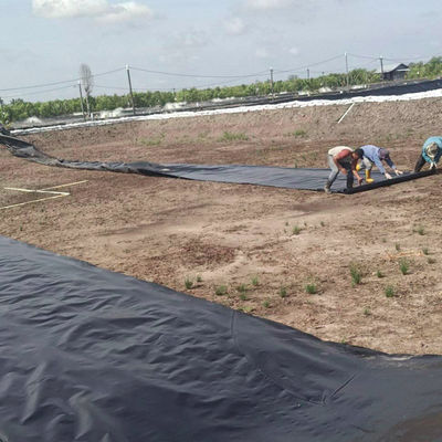 EPDM EVA HDPE водоемы линейка пластиковый лист для рыбы креветок бассейн плавание фермы пруда плотина