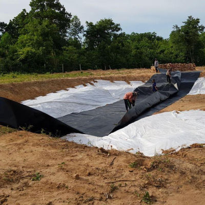 EPDM EVA HDPE водоемы линейка пластиковый лист для рыбы креветок бассейн плавание фермы пруда плотина