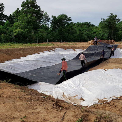 Геомембрана с двойной текстурой HDPE 1 мм для водонепроницаемой пластиковой плотины