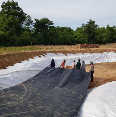 Геомембрана с двойной текстурой HDPE 1 мм для водонепроницаемой пластиковой плотины