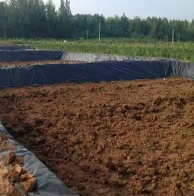 Геомембрана с двойной текстурой HDPE 1 мм для водонепроницаемой пластиковой плотины