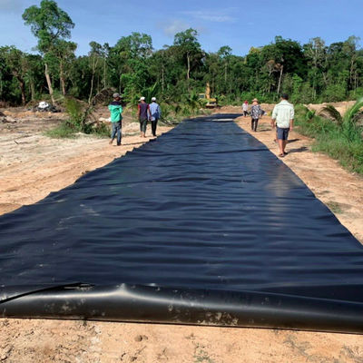 Рыбоводство креветок HDPE геомембрана 0,5 мм полиэтиленовая подкладка черные рулоны водонепроницаемые