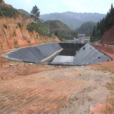 Рыбоводство креветок HDPE геомембрана 0,5 мм полиэтиленовая подкладка черные рулоны водонепроницаемые