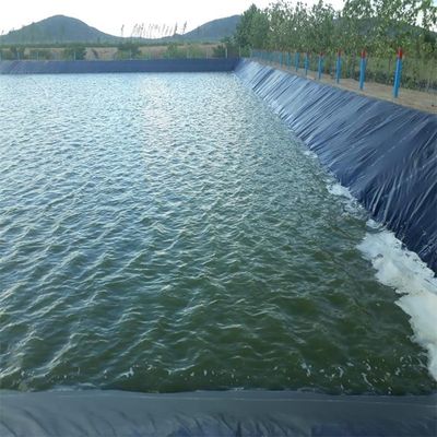Рыбоводство креветок HDPE геомембрана 0,5 мм полиэтиленовая подкладка черные рулоны водонепроницаемые