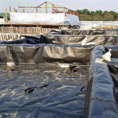 Геомембрана из 1 мм HDPE для рыбных прудов и полигонов Ширина 1-8 м Проверка на месте