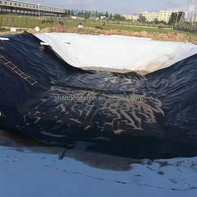 Современная гладкая геомембрана HDPE для рыбных прудов для свалок от 1 до 2 мм Длина 50-200 м