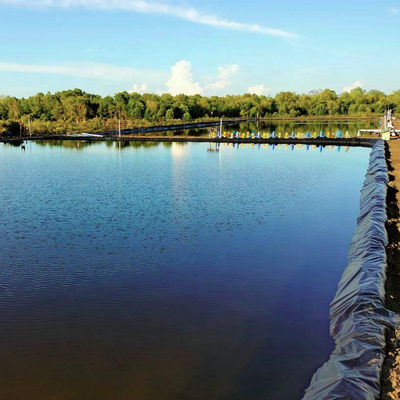 Геомембрана HDPE водонепроницаемая прудовая подкладка водонепроницаемая PE черная пластиковая прудовая подкладка листовка