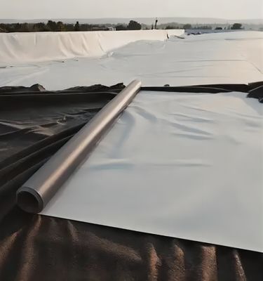Предварительно изготовленная гладкая геомембрана с текстурой геомембрана 2 мм для водонепроницаемой конструкции HDPE