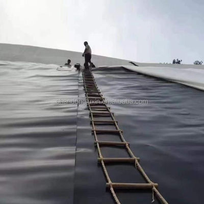 ASTM GRI-GM13 Стандартная HDPE гладкая геомембранная рыбная водоема для резервуаров для хранения воды