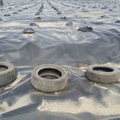 ASTM GRI-GM13 Стандартная HDPE гладкая геомембранная рыбная водоема для резервуаров для хранения воды